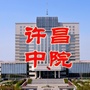 许昌市中级人民法院ico