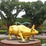 走进洪山ico