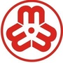 红寺堡区妇联ico