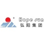 山东弘阳集团ico