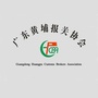 广东黄埔报关协会公众号ico