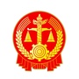 新乡市红旗区人民法院执行局公众号ico