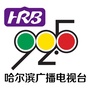 哈尔滨广播电视台ico