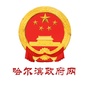 哈尔滨市政府网ico