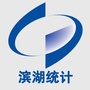 滨湖统计公众号ico