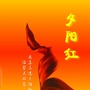 中共黄石港区委老干部局ico