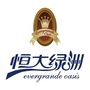 衡水恒大绿洲ico