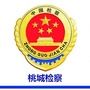 衡水桃城检察ico