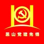 黑山党建先锋ico