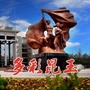 多彩昆玉ico