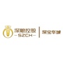 深宝华城ico