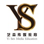 淮北艺森传媒ico