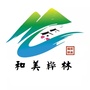 和美桦林ico