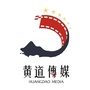 黄道传媒ico