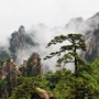 黄山外侨ico