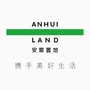 黄山置地ico