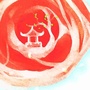 花肉凉亭公众号ico