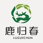 华泰鹿苑公众号ico