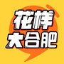 花样大合肥ico