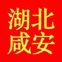 湖北咸安ico