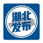 湖北发布公众号ico
