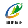 湖北省林业局公众号ico
