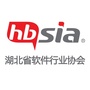 湖北软件之窗公众号ico