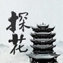 湖北探花公众号ico