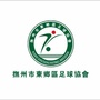 东乡区足球协会公众号ico