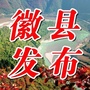 陇南徽县发布ico