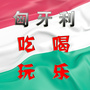 匈牙利吃喝玩乐公众号ico