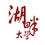 湖畔大学ico