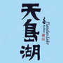 天岛湖国际旅游度假区ico