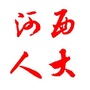 天津河西人大ico