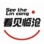 看见临沧ico