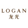 河源龙光ico
