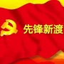 先锋新渡ico