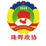 珠晖政协ico