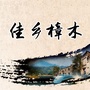 佳乡樟木ico