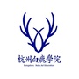 杭州白鹿艺术ico
