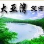 大亚湾发布ico