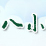 惠阳淡水八小ico