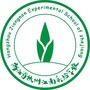 杭州江南实验学校ico