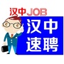 汉中速聘ico