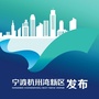 宁波杭州湾新区发布ico