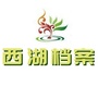 西湖档案ico