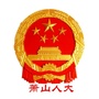 萧山人大ico