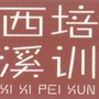 西溪教育培训ico
