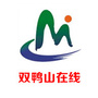 双鸭山在线ico