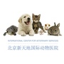 ICVS北京新天地国际动物医院ico